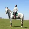 Saffey