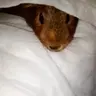 Clumsy&Awkward