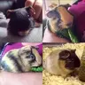 AmyHague