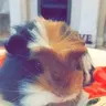 Lydia W