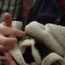 Bexie