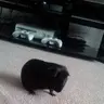 Prunes
