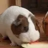 Millie&Russell