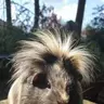 Squirrel2.5