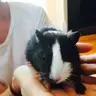 Baron&Cloud16