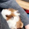 Jess95