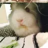 MoAndSue