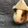 Peanut Butter