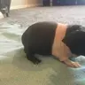 FatJac