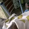 Maruu