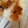 PeachesanCream