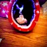 Piginashoe