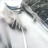 Niikkeii