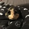 PeggyandNancy