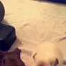 Phoebe&bonnie
