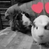Tammy_FluffyFun