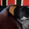 Starboy
