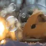 Bubble&Spark
