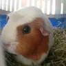 louisemary