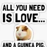 piglilpig