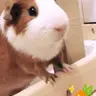 PeachyJuli