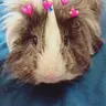 meikareeses
