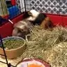 Fudge&bumble