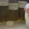 KarenGPW