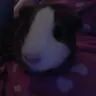lovemypiggie