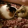 Babsicuy