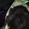 BurtsMum