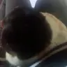 Cookie18