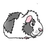 Mini Wheeks