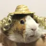 EltonLiberace