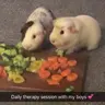 Patch&fluff