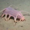 mingraters