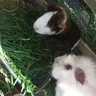 Ellie_05