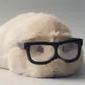 Immamuffin23
