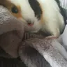 Minnieandstar