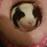 Bxdbxy