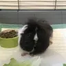 Chunky-Fluff