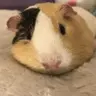 preciousandsweetue