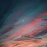 moonbuns