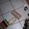 scoobykimm09
