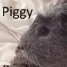 AbbyGuinea