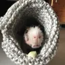 Skinnypig
