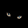 Greyedcat