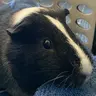 Bustersmom