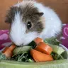 Edith4