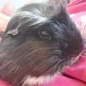 Squishy & Ratty